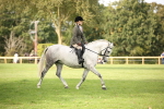 SBM_70362