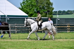 SBM_17488