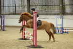 AJG_5725
