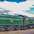7029 Tyseley 100 28.06.08