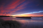 <center>Snape Marshes</center><br>