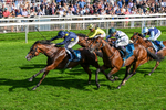 060926-Race 5-Extremely Zain-0332