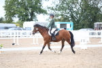 SBM_00291