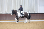 SBM_000249