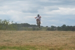 DSCF0764