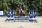 PC80 Showjumping portfolio