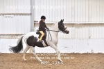 BPP_1164