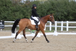 SBM_001377