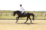 SBM_001457