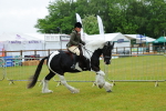 SBM_00909
