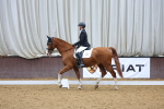 SBM_000396
