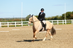 SBM_000087