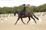 SBM_004914