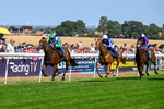 130826-Race 1-Not My Type-7847