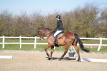 SBM_002290