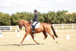 SBM_009349