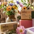 Herbal Soaps