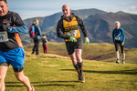 Sale Fell-504