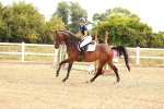 SBM_002009