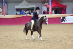 SBM_23591