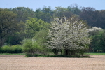 WJ7_2406