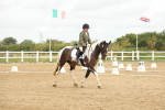 SBM_008653