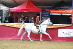 SBM_00339