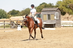 SBM_002980