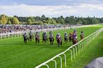 Race 7 17.20pm Sky Bet Nursery Handicap portfolio
