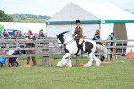 SBM_17153