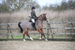 SBM_004656