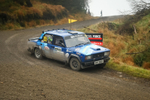 McCaffertys Donegal Forestry  100
