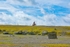 DSCF8855