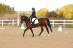 SBM_009245
