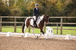 Unaffiliated Dressage portfolio