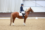 SBM_000690