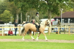 SBM_62645