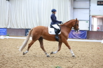 SBM_020708