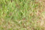SBM_08412