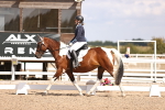 SBM_03719