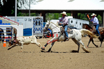 3HRodeo8-11-25_PRCASteer_05601_