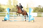 SBM_003948