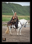 equiscot 8711