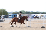 SBM_16768