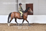 BPP_0274