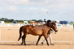 SBM_10964