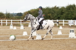 SBM_002686