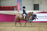 SBM_19032