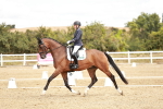SBM_009560