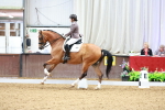SBM_003811